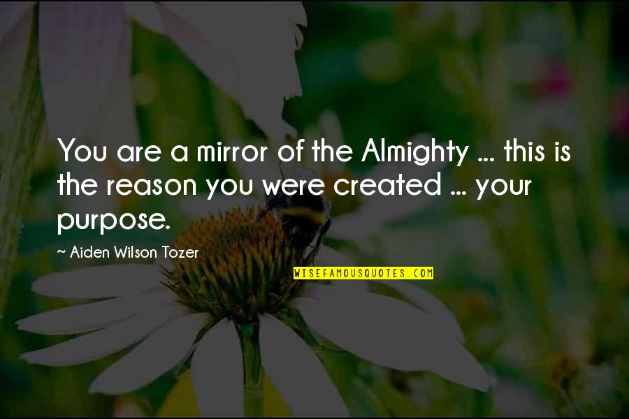 Reason And Purpose Quotes By Aiden Wilson Tozer: You are a mirror of the Almighty ...