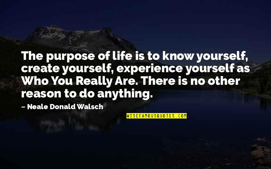 Reason And Purpose Quotes By Neale Donald Walsch: The purpose of life is to know yourself,