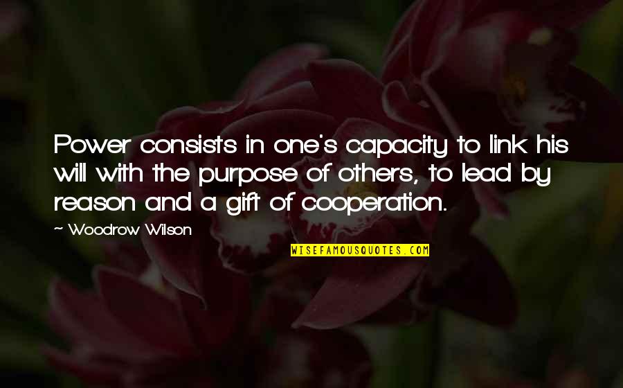 Reason And Purpose Quotes By Woodrow Wilson: Power consists in one's capacity to link his