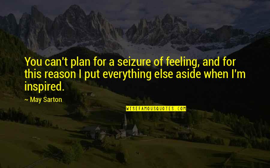 Reason For Everything Quotes By May Sarton: You can't plan for a seizure of feeling,