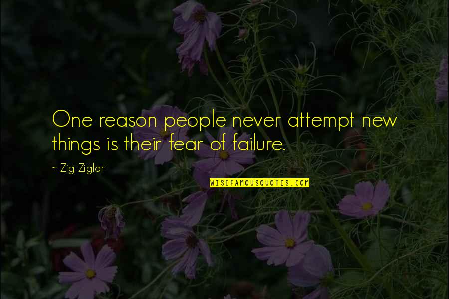 Reason For Failure Quotes By Zig Ziglar: One reason people never attempt new things is