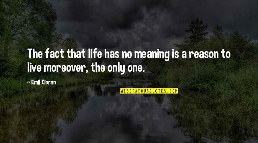 Reason For My Existence Quotes By Emil Cioran: The fact that life has no meaning is