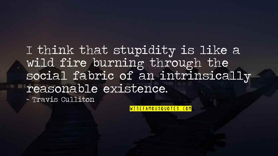 Reason For My Existence Quotes By Travis Culliton: I think that stupidity is like a wild