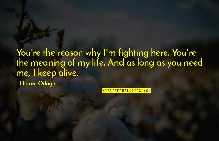 Reason Of My Life Quotes By Hotaru Odagiri: You're the reason why I'm fighting here. You're