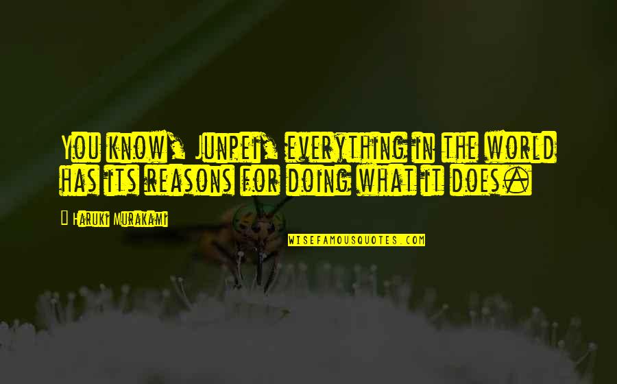 Reasons For Doing Things Quotes By Haruki Murakami: You know, Junpei, everything in the world has