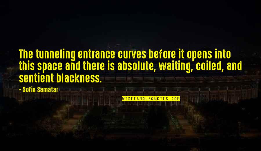 Rebecca Godfrey Quotes By Sofia Samatar: The tunneling entrance curves before it opens into