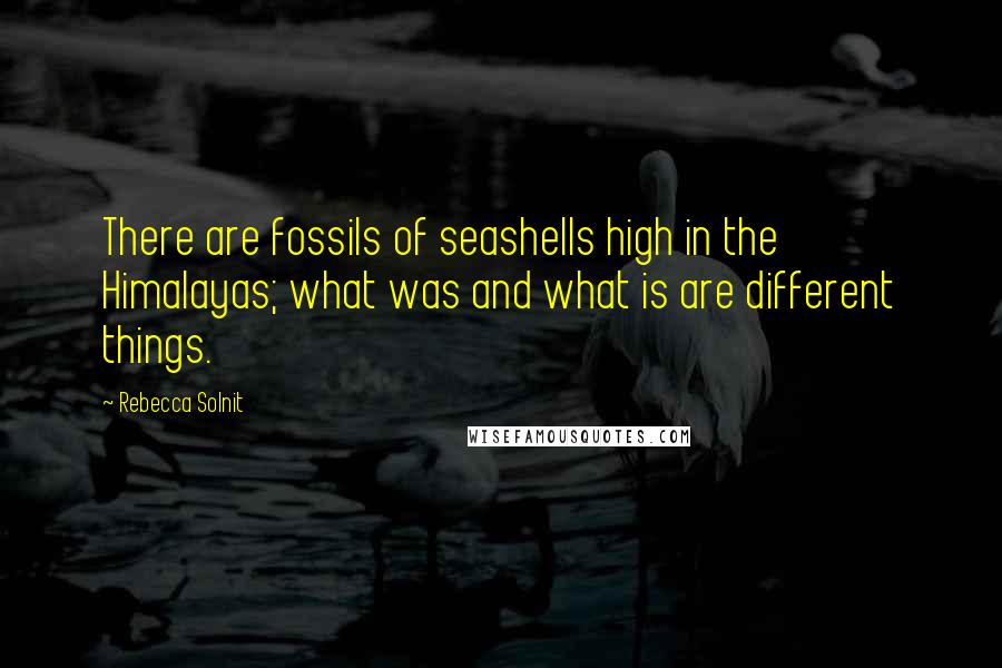 Rebecca Solnit quotes: There are fossils of seashells high in the Himalayas; what was and what is are different things.