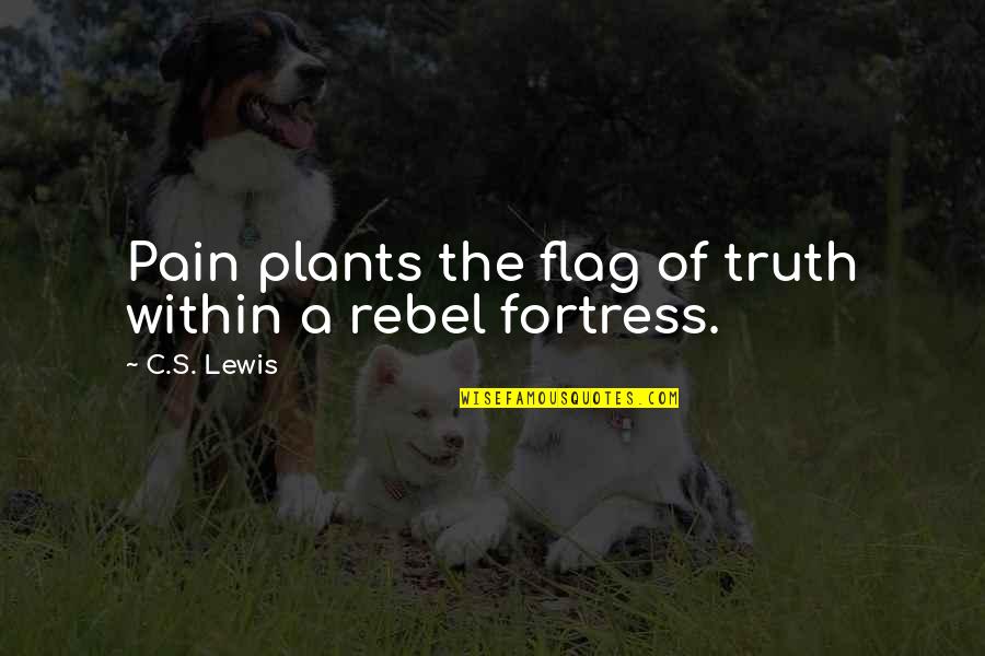 Rebel Flags Quotes By C.S. Lewis: Pain plants the flag of truth within a