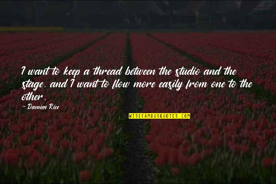 Rebel Sport Quote Quotes By Damien Rice: I want to keep a thread between the