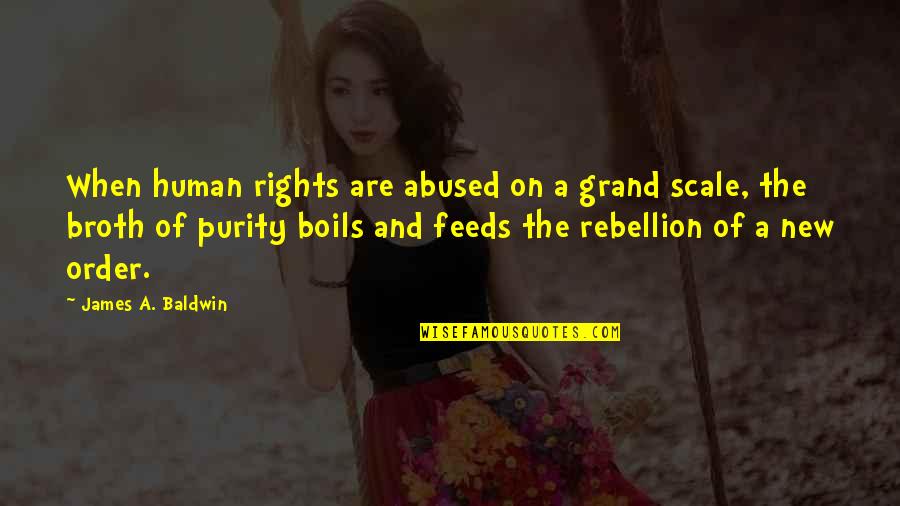 Rebellion And Revolution Quotes By James A. Baldwin: When human rights are abused on a grand Rebellion And Revolution Quotes By James A. Baldwin: When human rights are abused on a grand