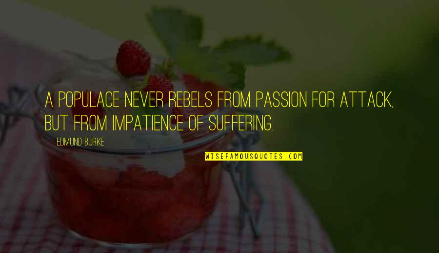 Rebels Quotes By Edmund Burke: A populace never rebels from passion for attack,