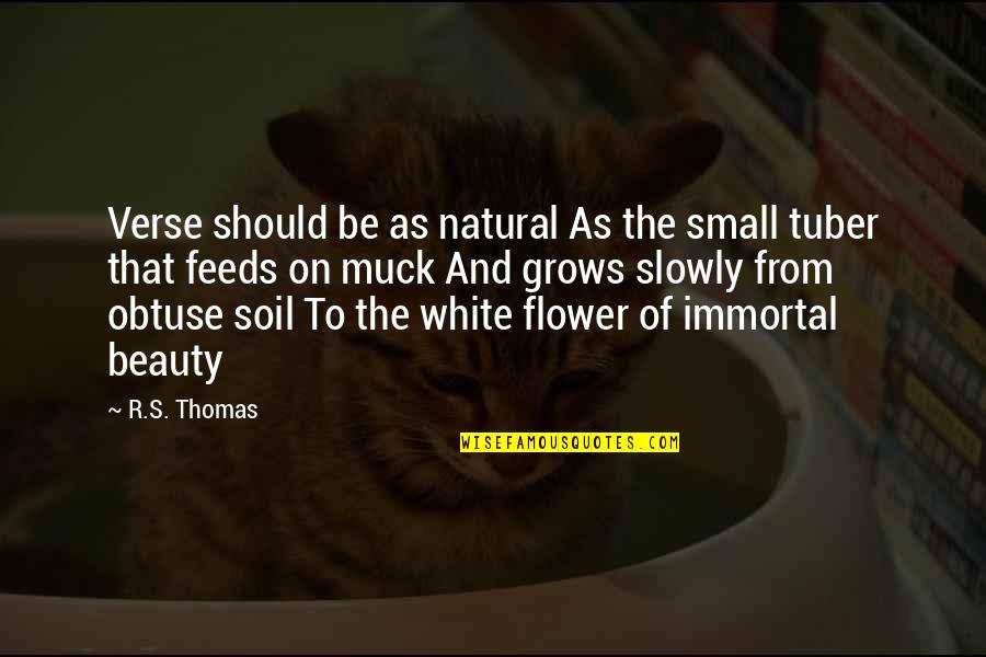 Rebollo Ignites Quotes By R.S. Thomas: Verse should be as natural As the small Rebollo Ignites Quotes By R.S. Thomas: Verse should be as natural As the small