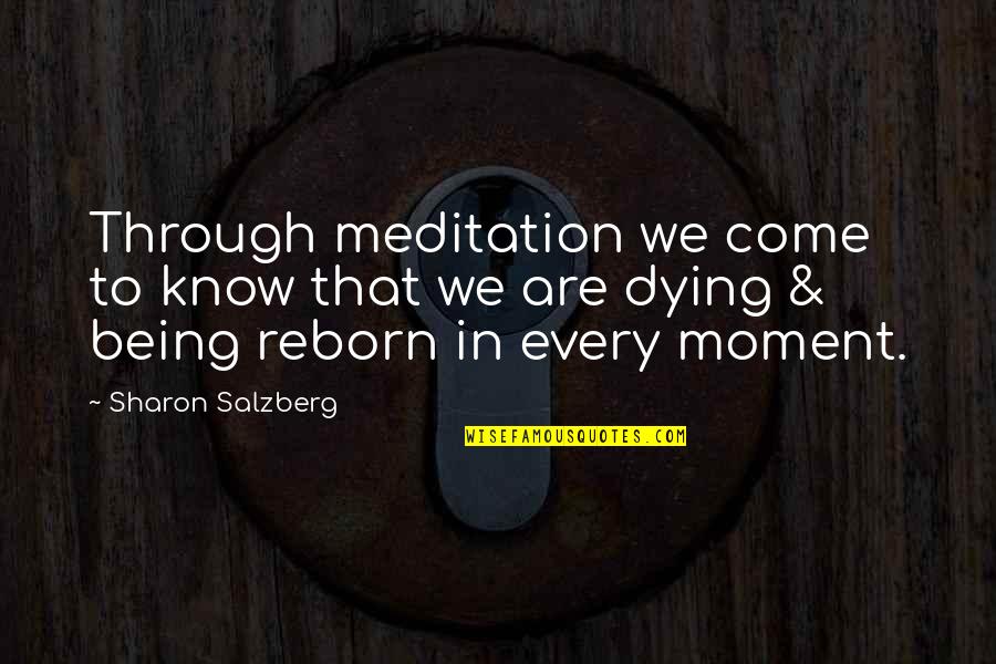 Reborn's Quotes By Sharon Salzberg: Through meditation we come to know that we