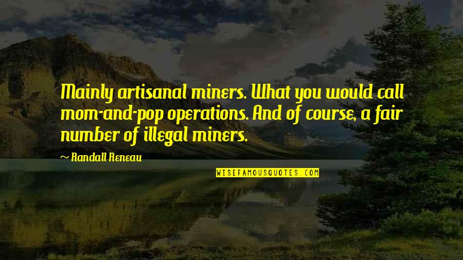 Rebound Chicks Quotes By Randall Reneau: Mainly artisanal miners. What you would call mom-and-pop