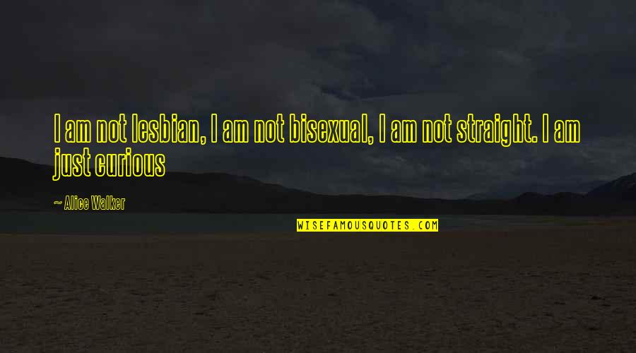 Rebroff Evening Quotes By Alice Walker: I am not lesbian, I am not bisexual,