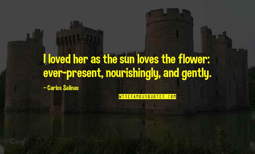 Rebuild Love Quotes By Carlos Salinas: I loved her as the sun loves the