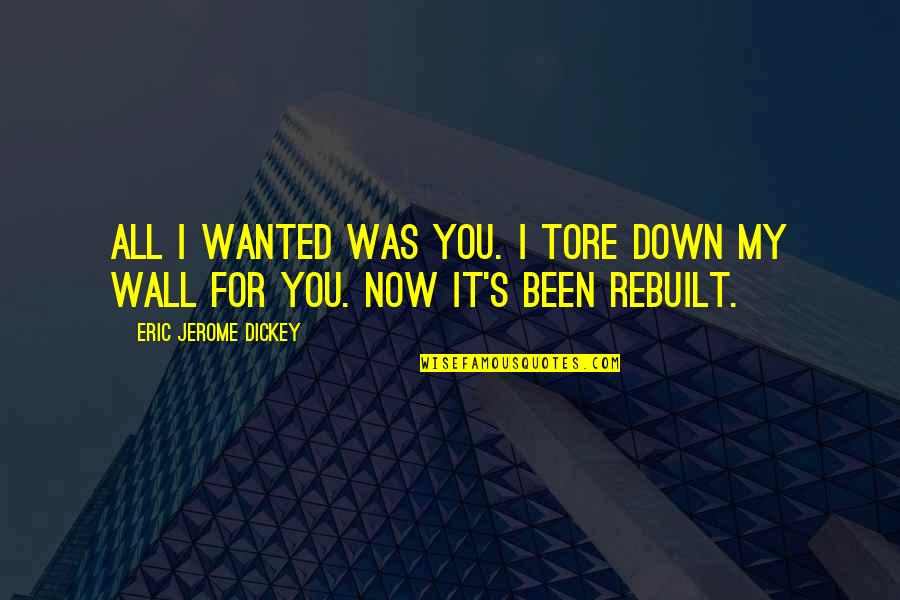 Rebuilt Quotes By Eric Jerome Dickey: All I wanted was you. I tore down