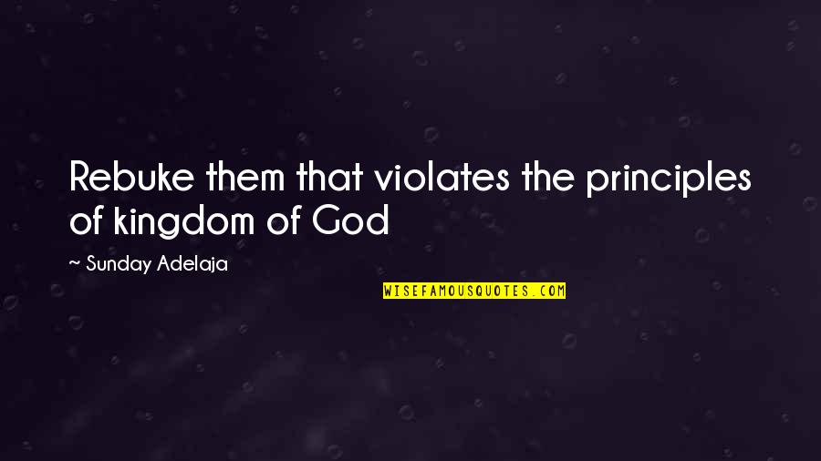 Rebuke Quotes By Sunday Adelaja: Rebuke them that violates the principles of kingdom