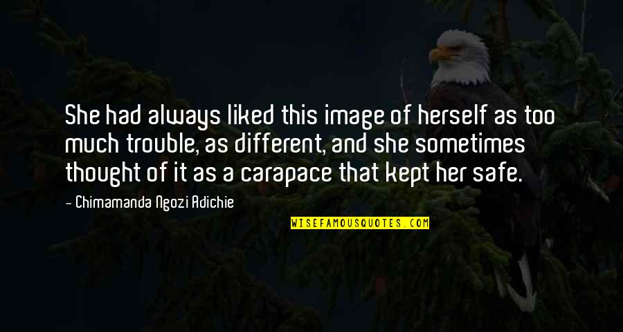 Recapitalise Quotes By Chimamanda Ngozi Adichie: She had always liked this image of herself