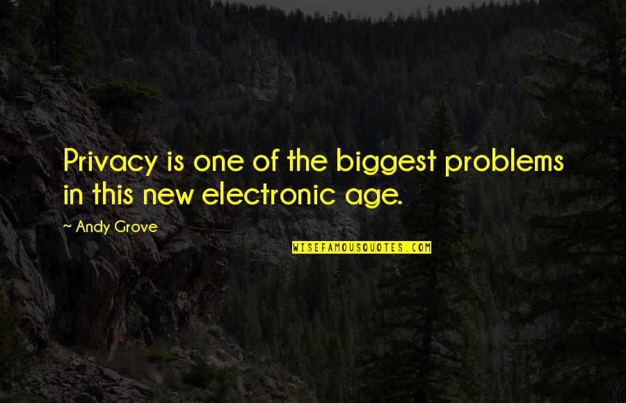 Recaro Quotes By Andy Grove: Privacy is one of the biggest problems in