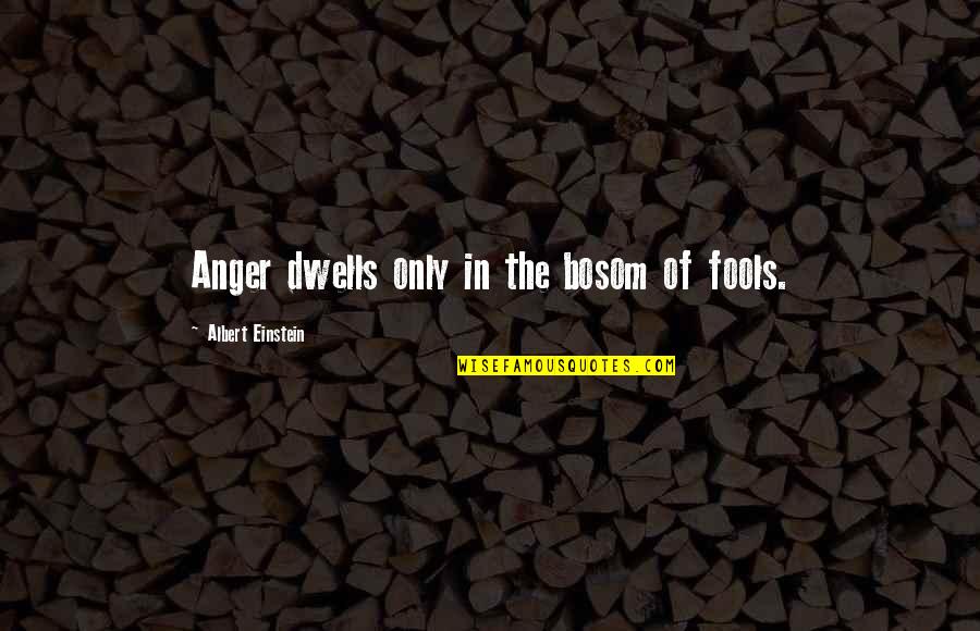 Receite Quotes By Albert Einstein: Anger dwells only in the bosom of fools.