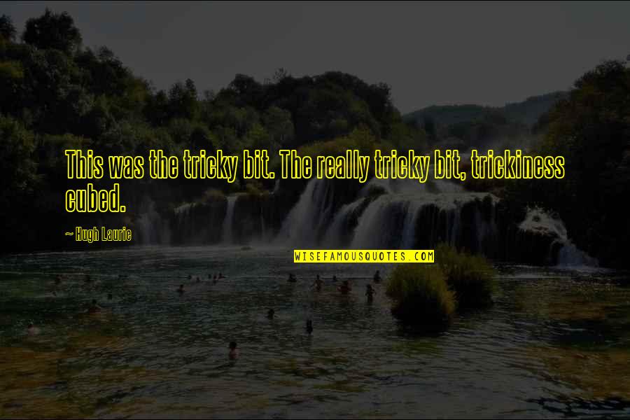 Recelosa Quotes By Hugh Laurie: This was the tricky bit. The really tricky