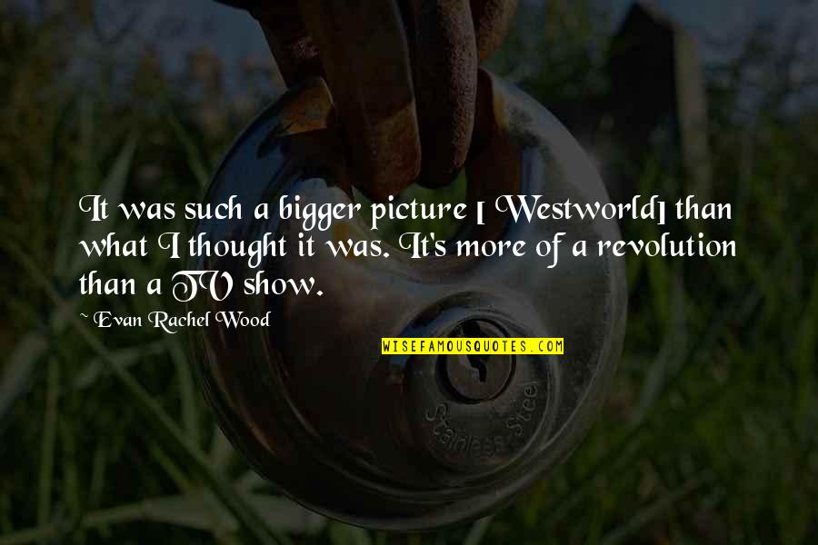 Recently Engaged Quotes By Evan Rachel Wood: It was such a bigger picture [ Westworld]