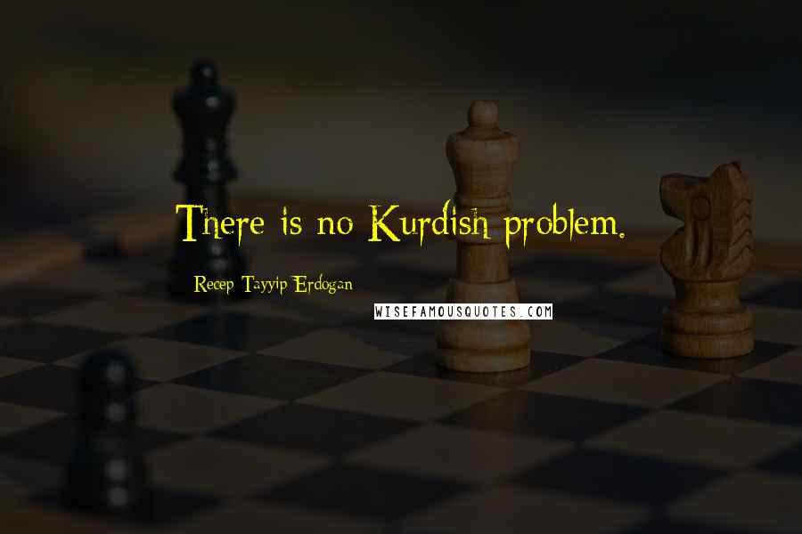 Recep Tayyip Erdogan quotes: There is no Kurdish problem.
