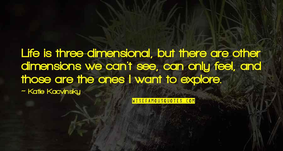 Rechler Long Island Quotes By Katie Kacvinsky: Life is three-dimensional, but there are other dimensions Rechler Long Island Quotes By Katie Kacvinsky: Life is three-dimensional, but there are other dimensions