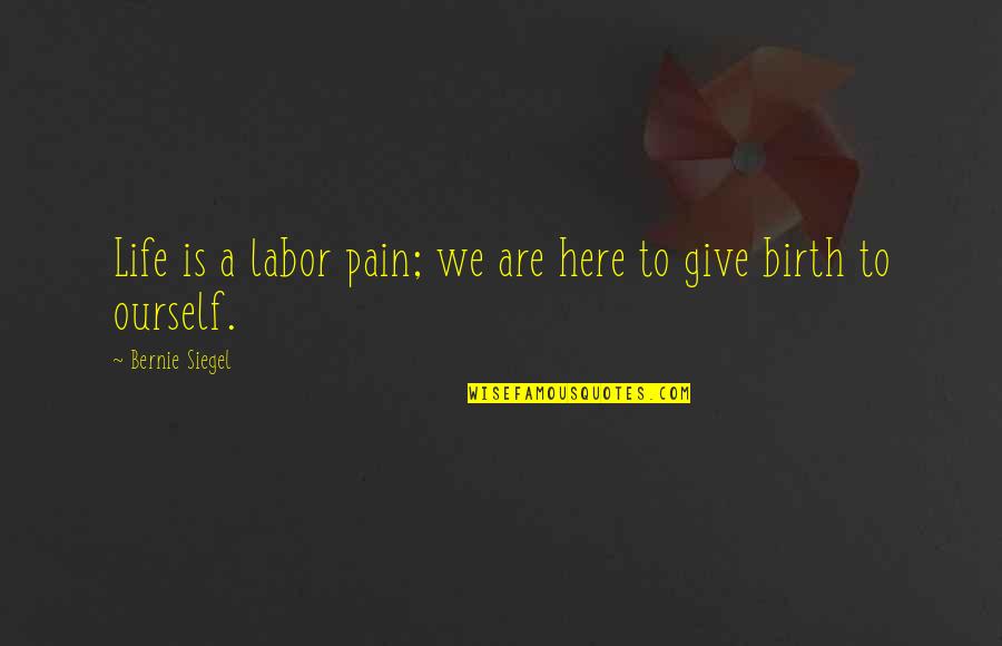 Recieving Quotes By Bernie Siegel: Life is a labor pain; we are here