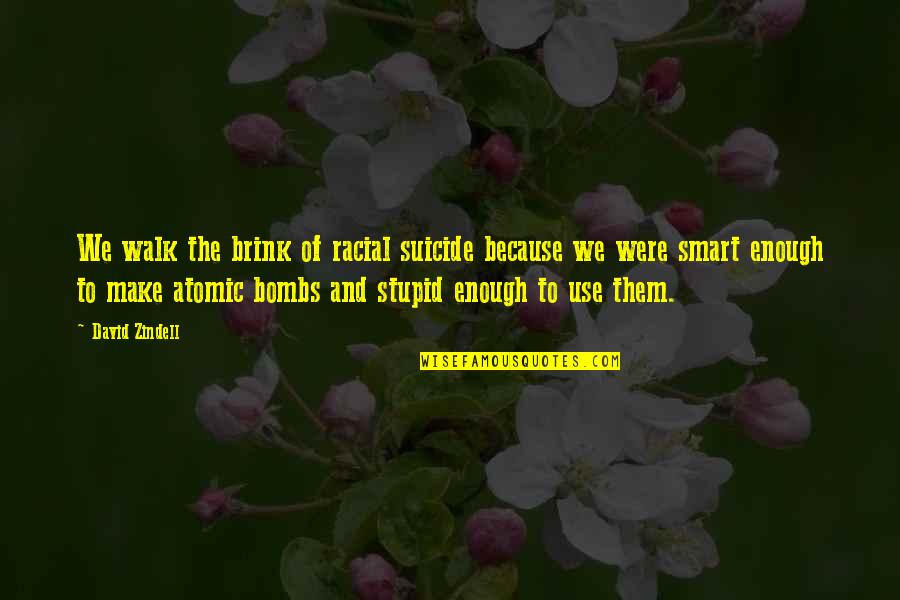 Recinto De Mayaguez Quotes By David Zindell: We walk the brink of racial suicide because Recinto De Mayaguez Quotes By David Zindell: We walk the brink of racial suicide because