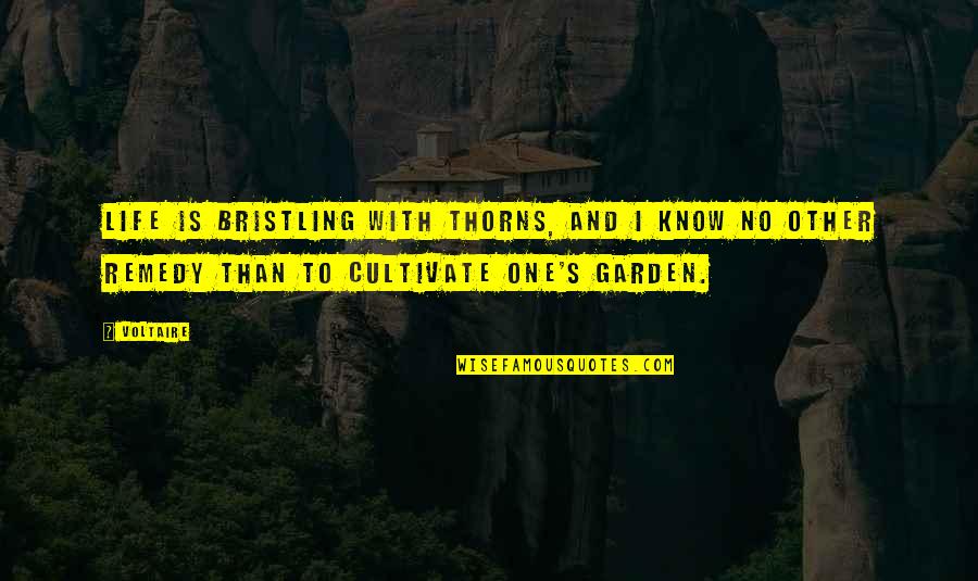 Recipe Box Quotes By Voltaire: Life is bristling with thorns, and I know