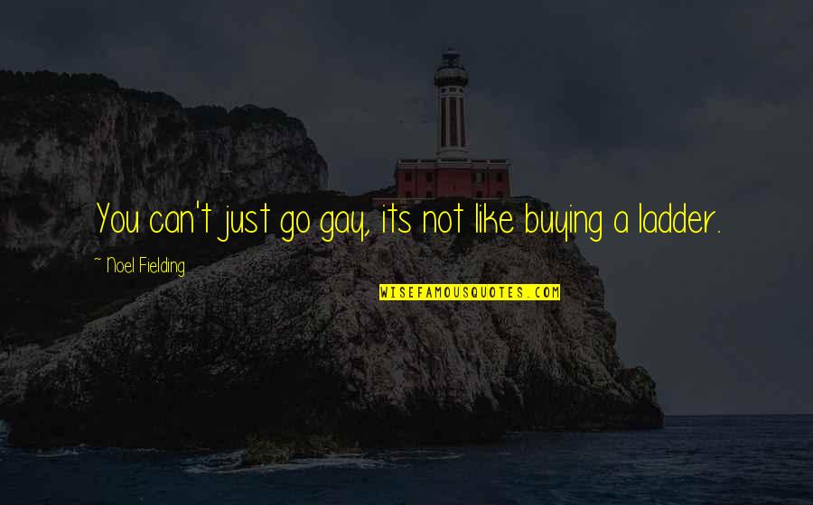 Recitateurs Quotes By Noel Fielding: You can't just go gay, its not like Recitateurs Quotes By Noel Fielding: You can't just go gay, its not like