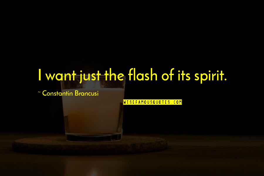 Reclaimed Quotes By Constantin Brancusi: I want just the flash of its spirit.