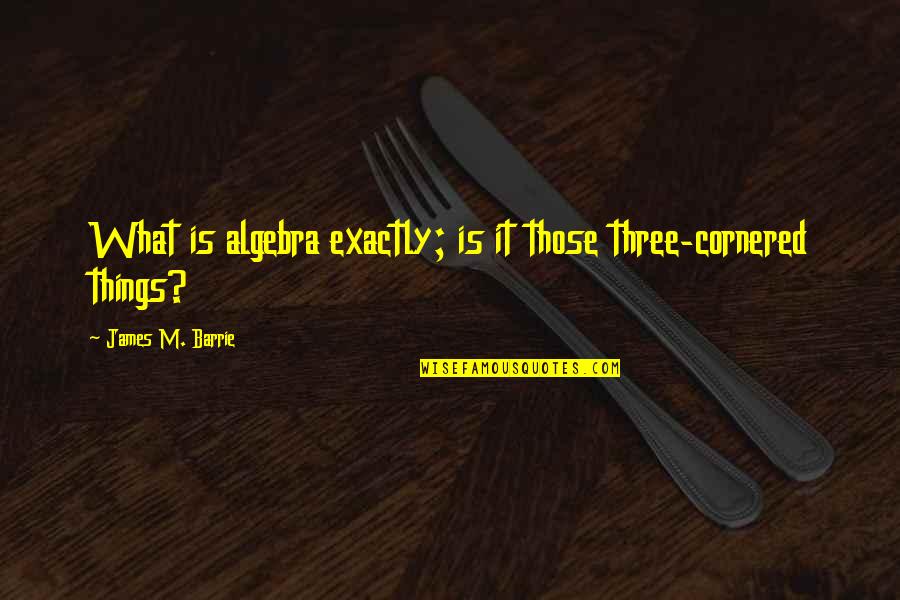 Reclamare Pagina Quotes By James M. Barrie: What is algebra exactly; is it those three-cornered