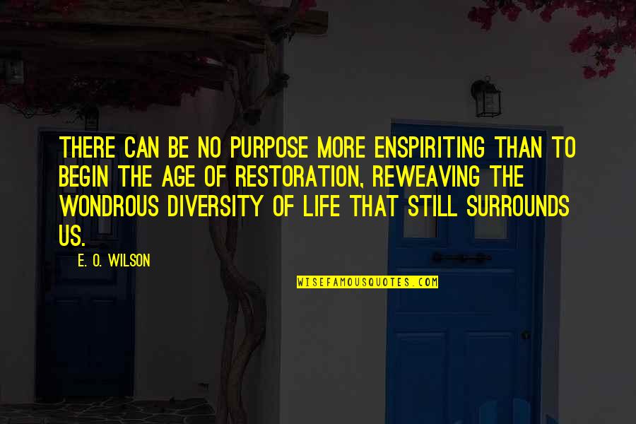 Reclamefolders Quotes By E. O. Wilson: There can be no purpose more enspiriting than Reclamefolders Quotes By E. O. Wilson: There can be no purpose more enspiriting than