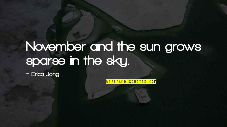 Recombine Quotes By Erica Jong: November and the sun grows sparse in the