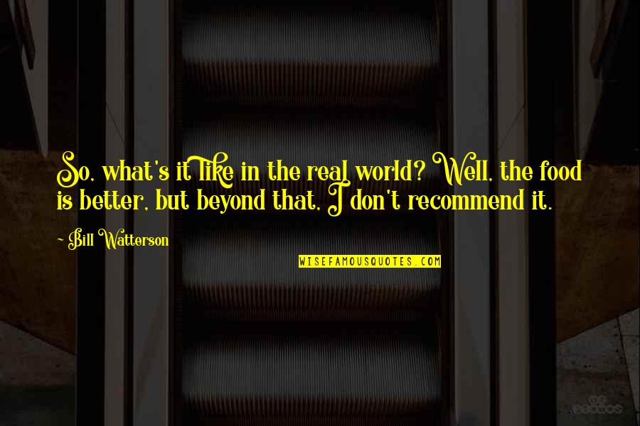 Recommend Quotes By Bill Watterson: So, what's it like in the real world?