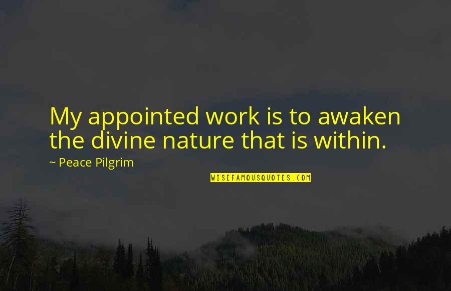 Recompensated Quotes By Peace Pilgrim: My appointed work is to awaken the divine Recompensated Quotes By Peace Pilgrim: My appointed work is to awaken the divine
