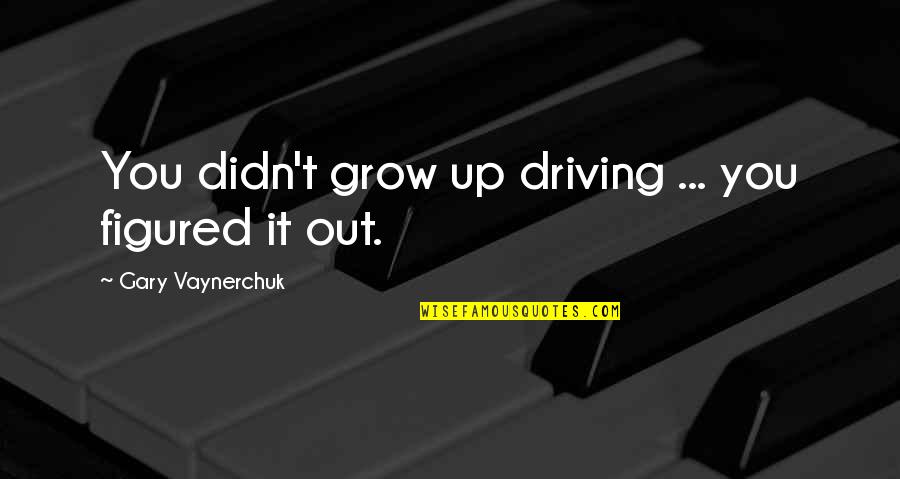 Reconcil'd Quotes By Gary Vaynerchuk: You didn't grow up driving ... you figured