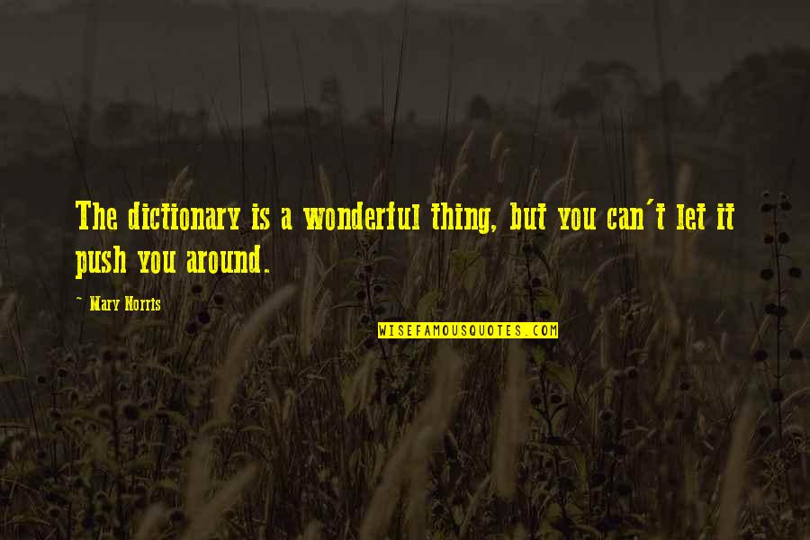 Reconciliation Relationship Second Chance Quotes By Mary Norris: The dictionary is a wonderful thing, but you