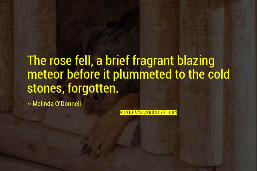 Reconfortante Descanso Quotes By Melinda O'Donnell: The rose fell, a brief fragrant blazing meteor