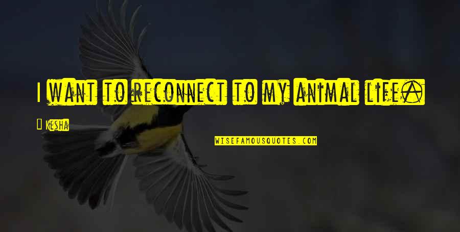Reconnect Quotes By Kesha: I want to reconnect to my animal life.
