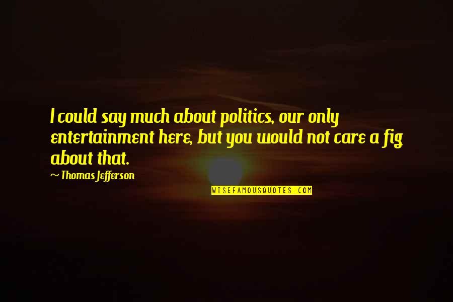 Reconocimiento Significado Quotes By Thomas Jefferson: I could say much about politics, our only