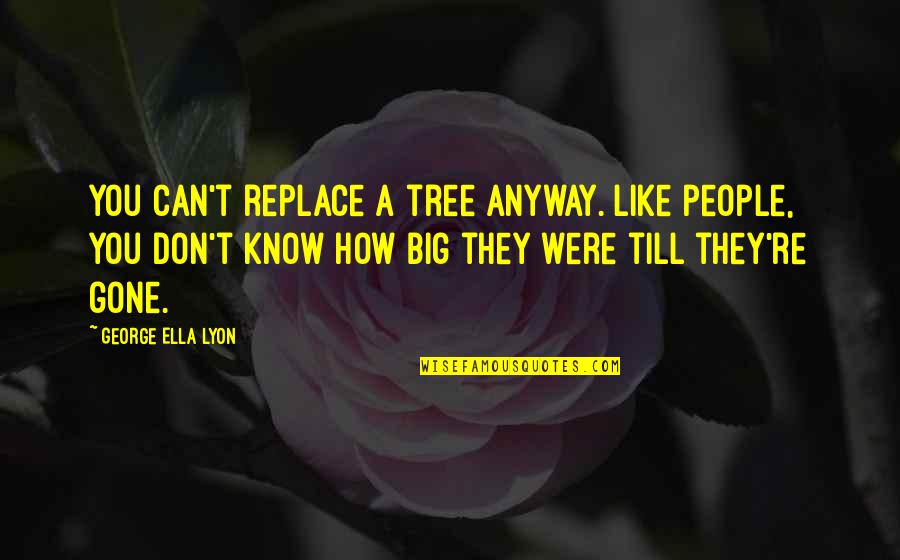 Reconsider Quotes By George Ella Lyon: You can't replace a tree anyway. Like people,