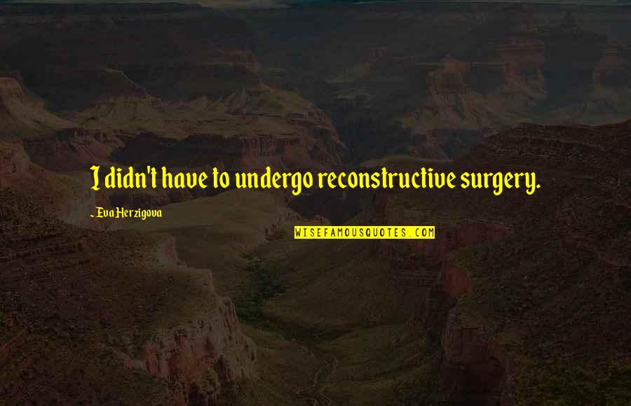 Reconstructive Surgery Quotes By Eva Herzigova: I didn't have to undergo reconstructive surgery.