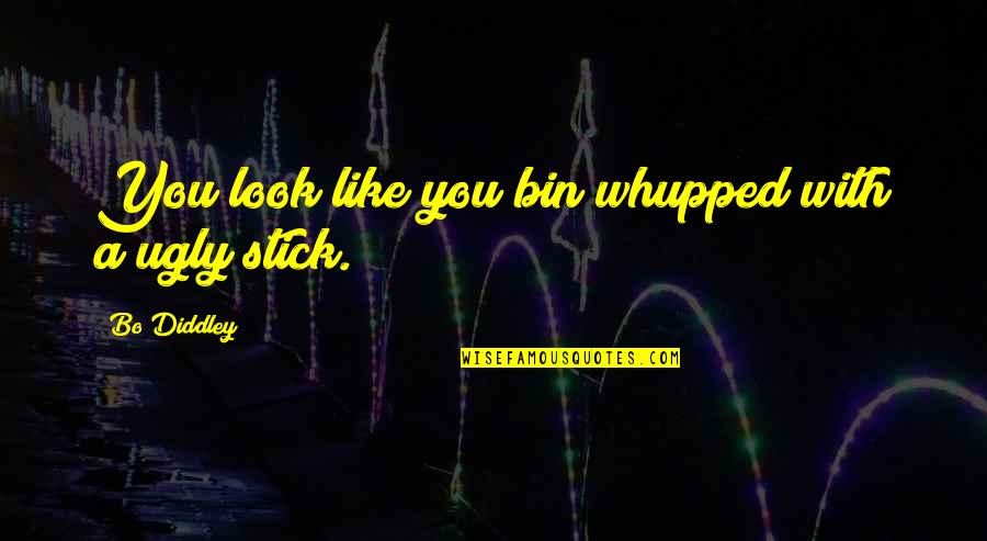 Recordable Storybooks Quotes By Bo Diddley: You look like you bin whupped with a Recordable Storybooks Quotes By Bo Diddley: You look like you bin whupped with a