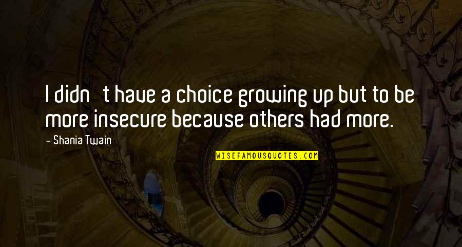 Recordar Es Quotes By Shania Twain: I didn't have a choice growing up but