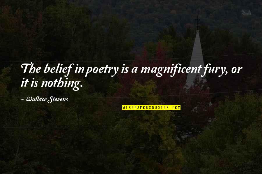 Recovering Addiction Quotes By Wallace Stevens: The belief in poetry is a magnificent fury,