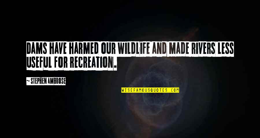 Recreation Quotes By Stephen Ambrose: Dams have harmed our wildlife and made rivers